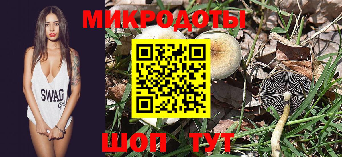 Галлюциногенные грибы прущие грибы Мирный