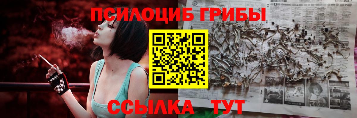 Мирный  Псилоцибиновые грибы ЛСД  Вход с VPN  Псилоцибиновые грибы прущие грибы 